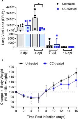 A phosphodiesterase-4 inhibitor reduces lung inflammation and fibrosis in a hamster model of SARS-CoV-2 infection